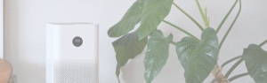 ndoor air quality solutions in MA by High Efficiency Energy Solutions for cleaner, healthier, energy-efficient homes.
