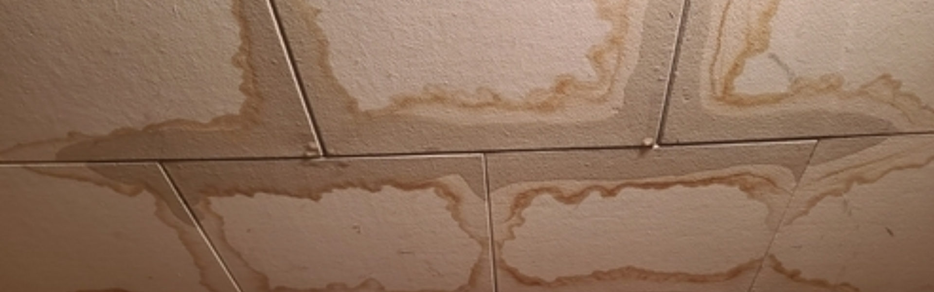 Leaky or Damaged ducts